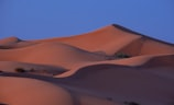 撒哈拉沙漠舆图（撒哈拉沙漠：神秘而优美的自然异景）